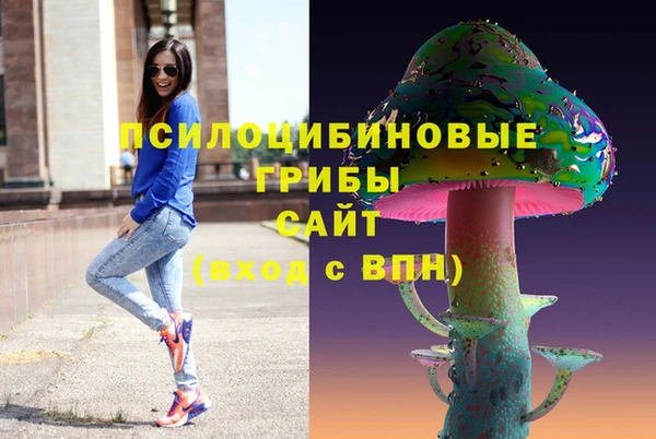 бошки Верхний Тагил